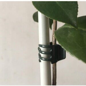 Small Orchid & Garden Support Clips – Orchid / Plants Not Included